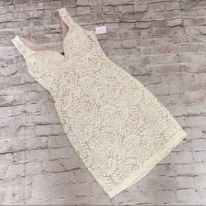 NWT Windsor lace sleeveless Cocktail dress